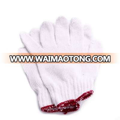 commercial fishing squid working 100% Cotton Knit Gloves